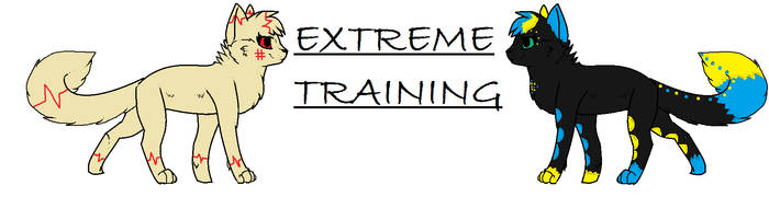 extreme training!!