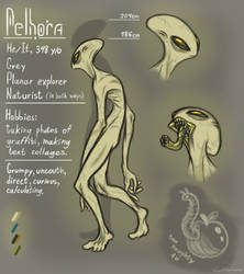 Pelhora Reference Sheet