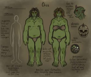 Orc Species General Info