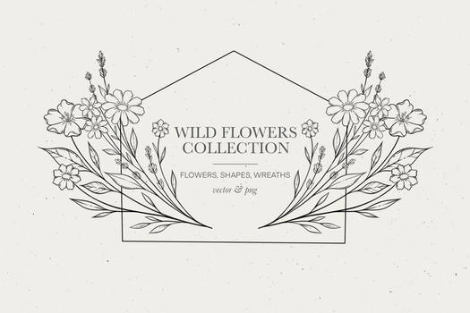 Wild flowers clipart