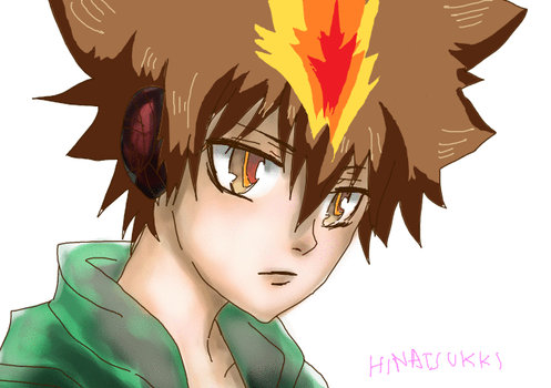 katekyo hitman reborn tsunayoshi