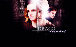 draco trilogy wallpaper 2