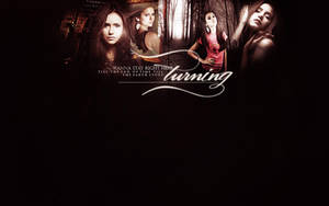 the-vampire diaries 1