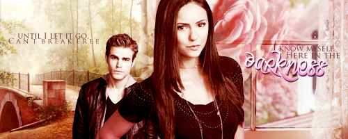 the vampire diaries banner 1