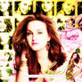 leighton meester wallpaper 1