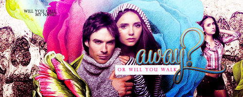 the vampire diaries banner