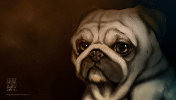 Pug