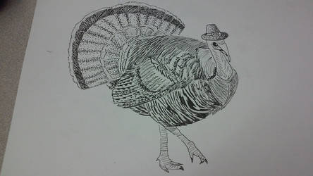 Thanksgiving Turkey