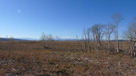 Mountains in the distance