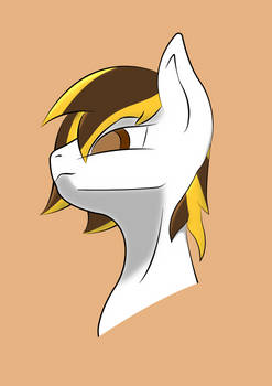 Felt Whisper Headshot