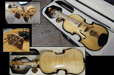 New violin finished