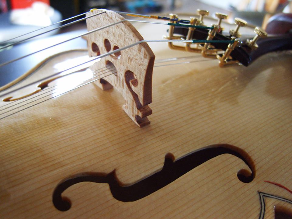 17th century model violin just finished