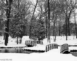 Bridges to Wonderland