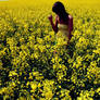 rape field14