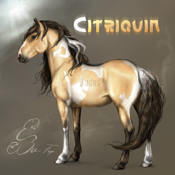 Citriquin