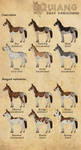 /Quiang/ Coat Variations by BUGHS-22