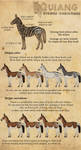 /Quiang/ Stripes Variations by BUGHS-22