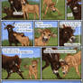 /Horse Age/ Page 58