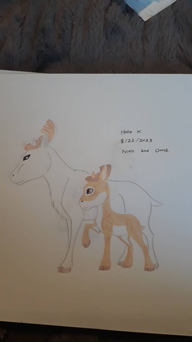 Niko and Oona by Festiveequine25 on DeviantArt