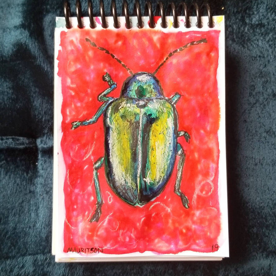 Beetle By Fractal On Deviantart Beetle By Fractal On Deviantart