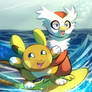 Surf