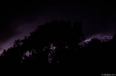 Lightning Behind Trees...