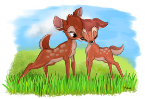 Fawn Love