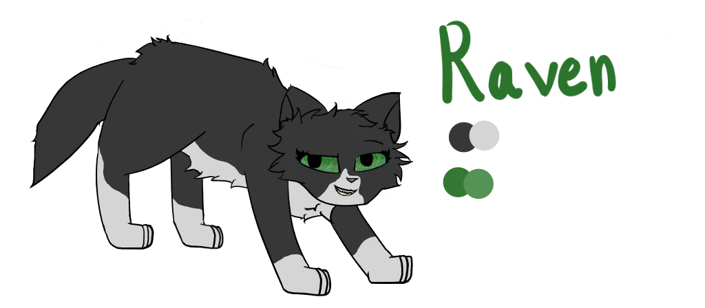 Raven Reference by InfinityFlare on DeviantArt