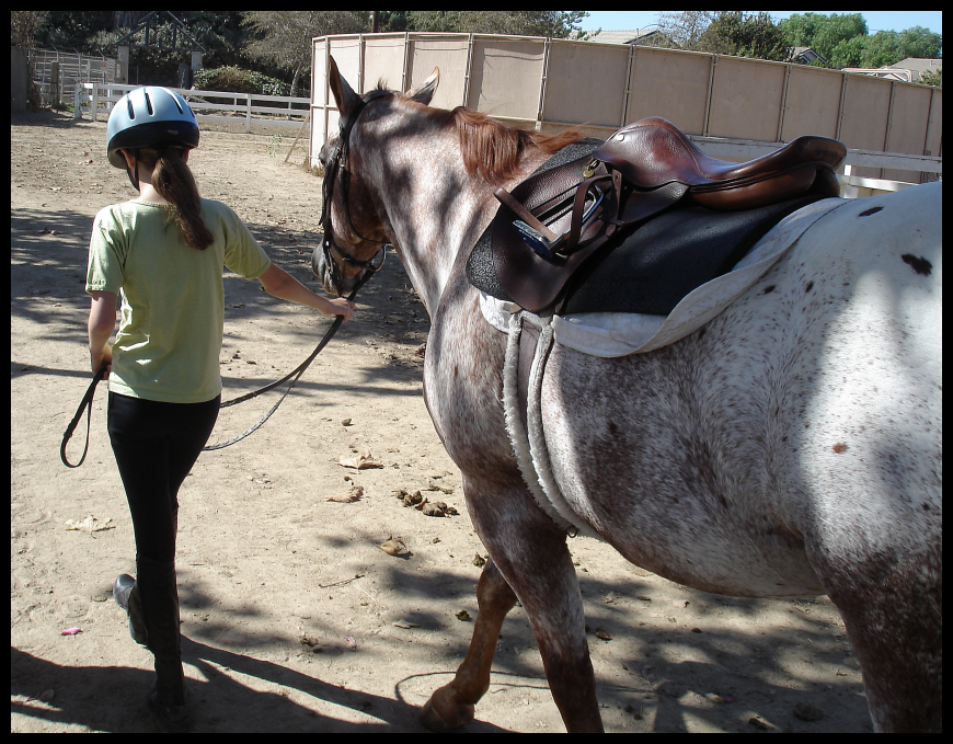 Big Rump by Shadowhisper on DeviantArt