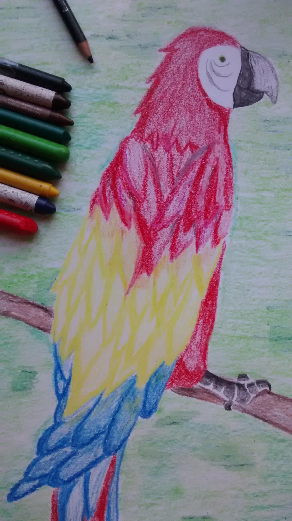 Ave Guacamaya by Ideasparadibujar on DeviantArt Ave Guacamaya by Ideasparadibujar on DeviantArt