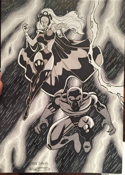 Storm and Black Panther Commission