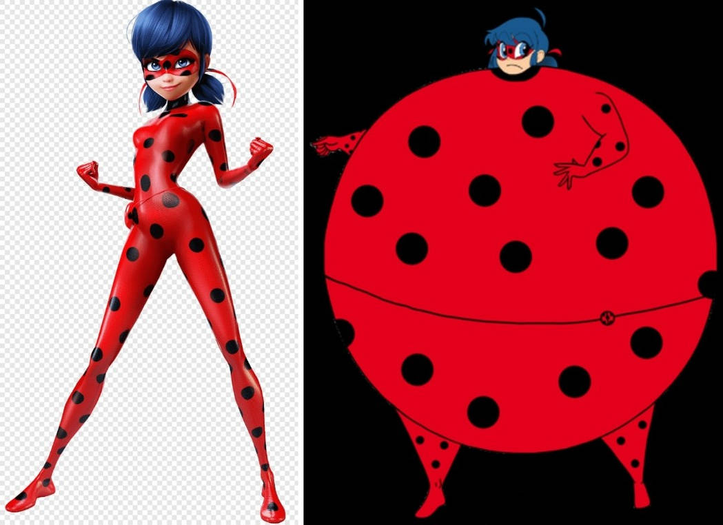 Ladybug roly poly by KacperKrysiak on DeviantArt