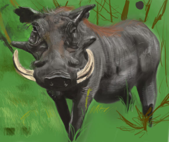 warthog study