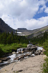 Up Lunch Creek