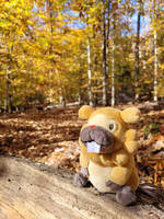 Bidoof in the woods