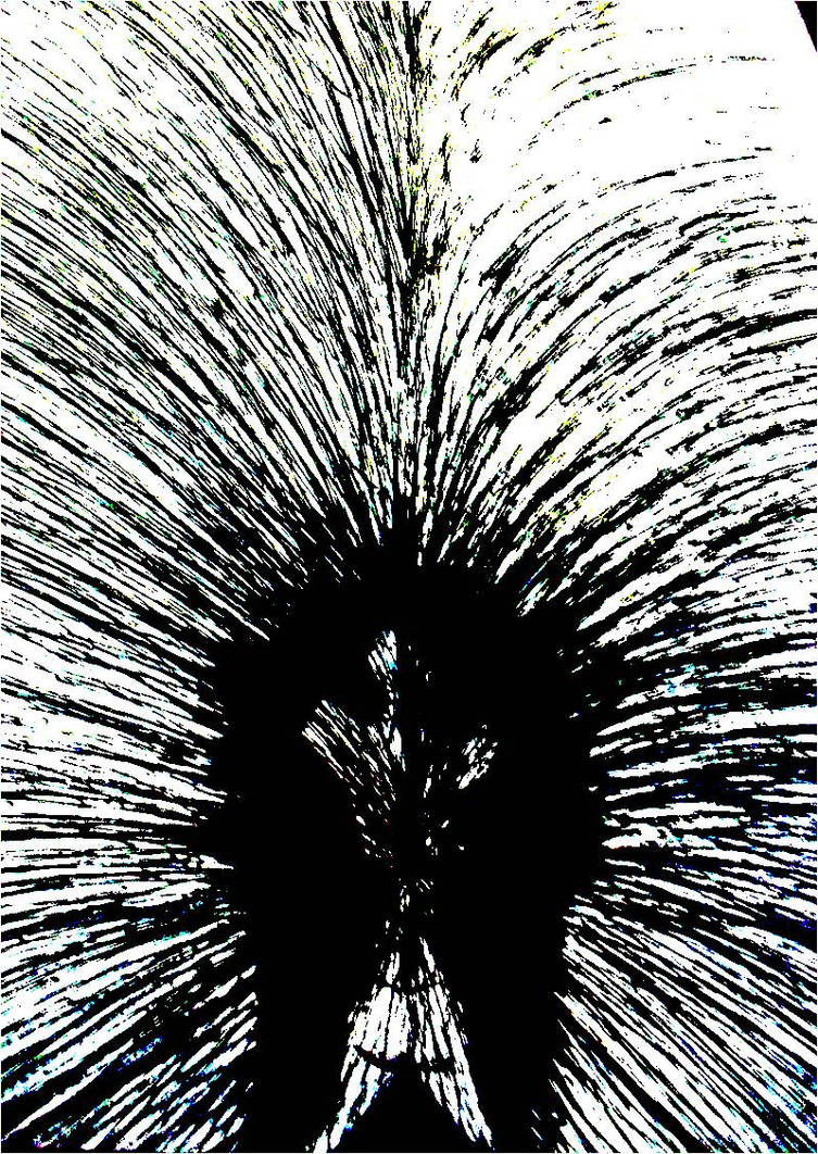 Expando by cuchopersonneadrm on DeviantArt