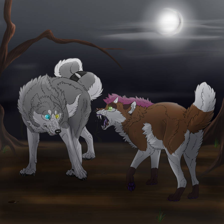 Spookw Fight by TheLlamaOverlord on DeviantArt