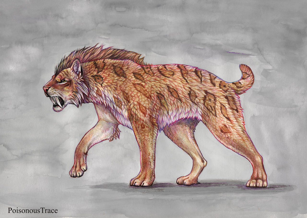 Smilodon by PoisonousTrace on DeviantArt