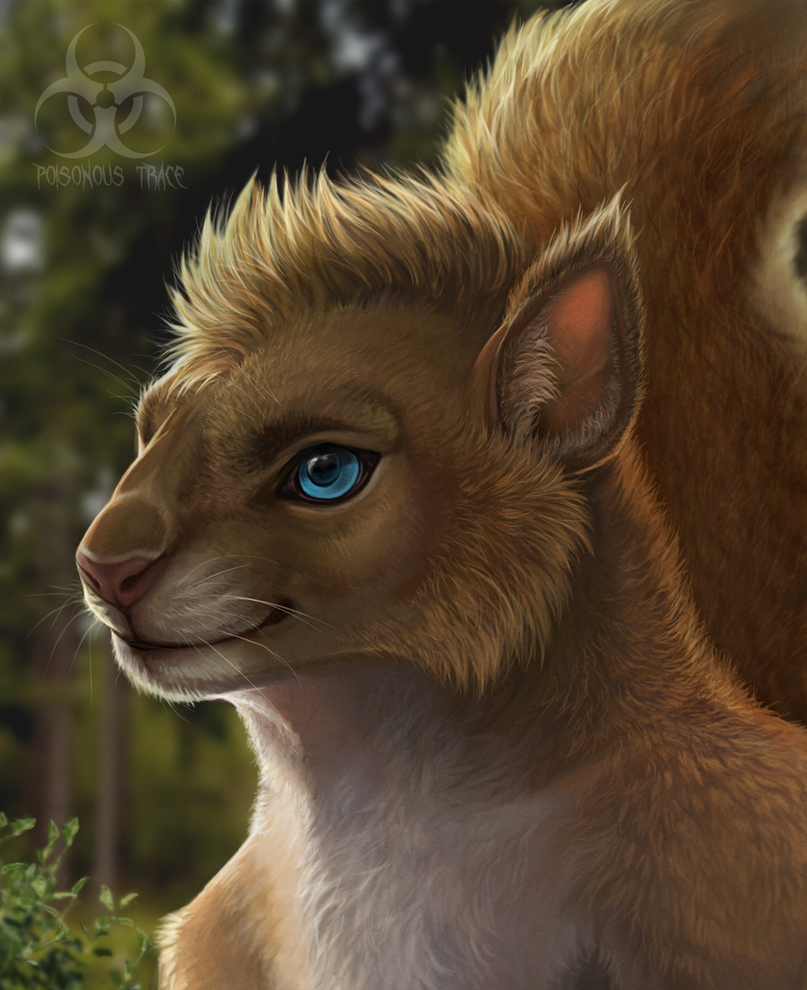Deviantart Risumon Squirrel Squirrel by PoisonousTrace on DeviantArt