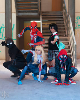 Spiderverse Group | Spiderman Marvel