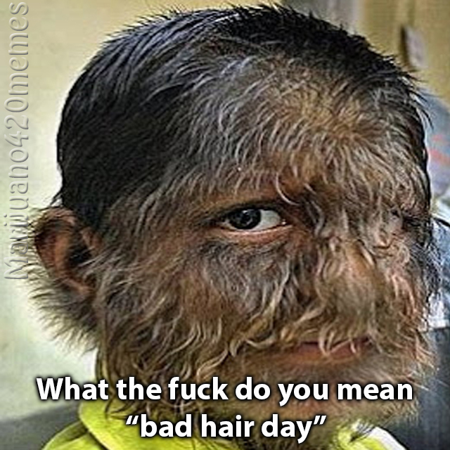 Bad Hair Day