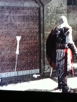 Ezio's wtf broom?