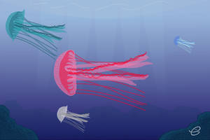 Jellyfishes