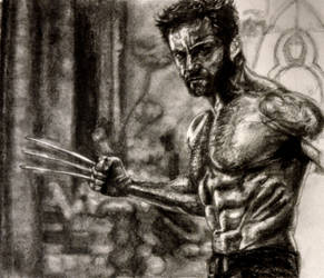 Wolverinewip5