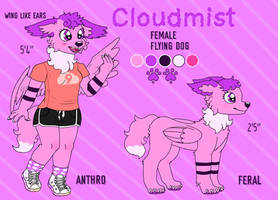 Cloudmist Reference Sheet