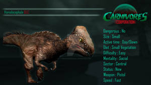 Carnivores Corporation : Homalocephale