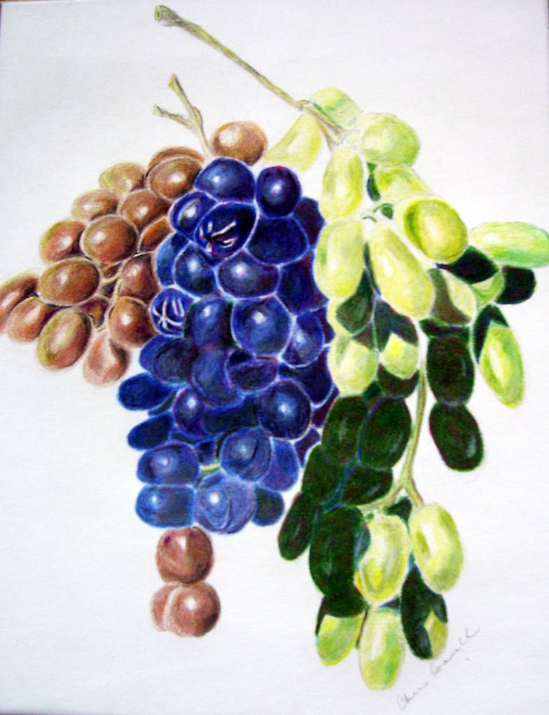 grapes by artgalaxy1 on DeviantArt