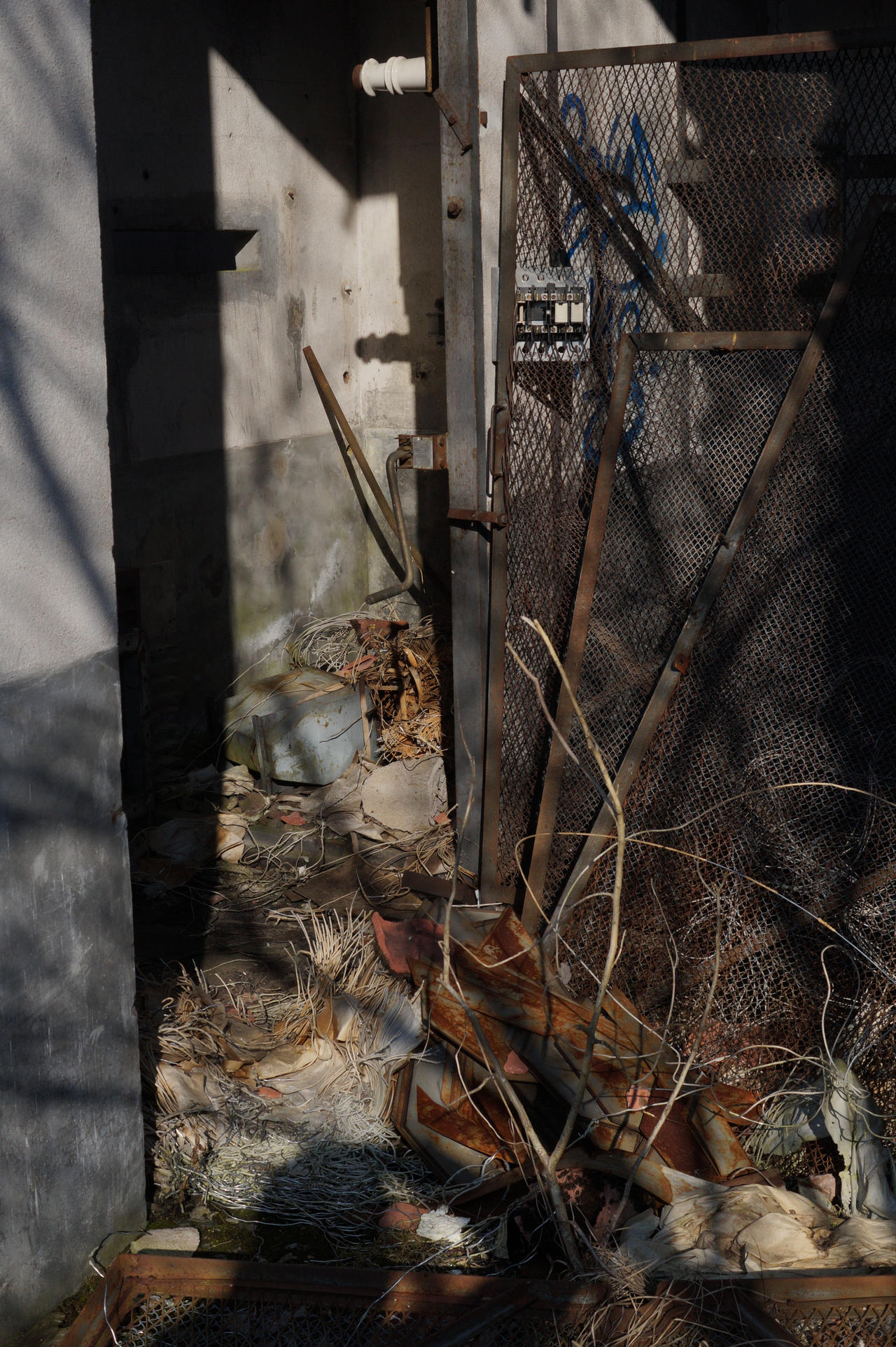 Rust and Spring by LuminescentJellyfish on DeviantArt