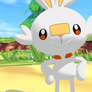 Scorbunny + Evolutions (Pokemon Sword and Shield)