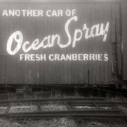 Ocean Spray: Duaflex IV Test